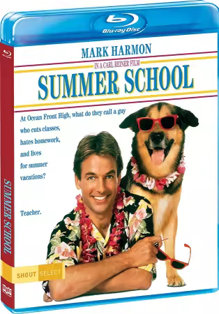 Summer School 1987 1080p Bluray DDP 5.1 10bit H265-iVy