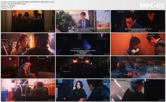 The Shadows Edge 2025 1080p TS HC EN MY CN-RGB