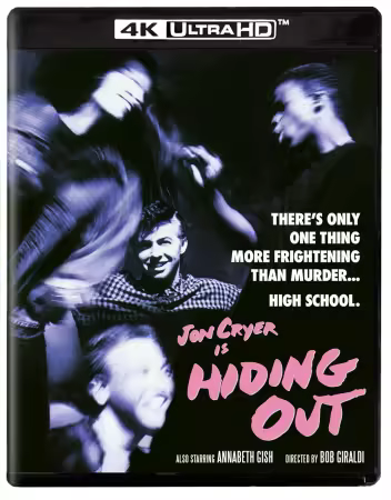 Hiding Out 1987 2160p 4K BluRay x265 10bit AAC5.1-YTS