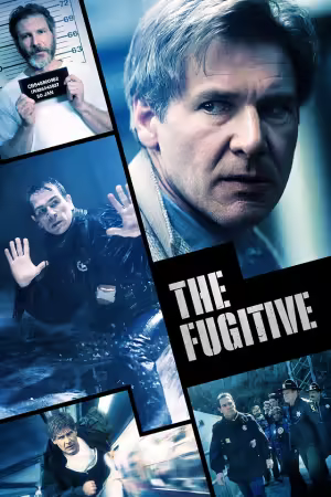 The Fugitive 1993 1080p PTV WEB-DL AAC 2.0 H264-PiRaTeS