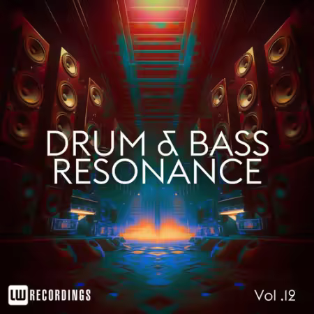 VA - Drum and Bass Resonance Vol.12 (2025)