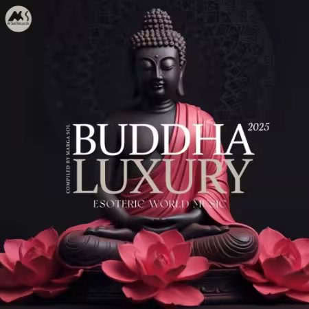 VA - Buddha Luxury 2025 (Compiled by Marga Sol) (2025)