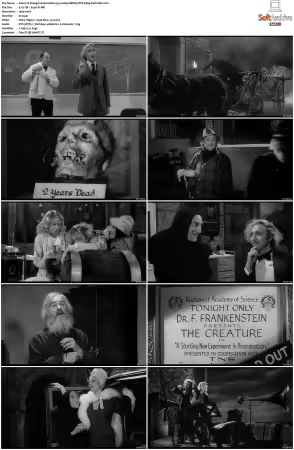 Young Frankenstein 1974 1080p BDRip DTS H264-PoPCoRn