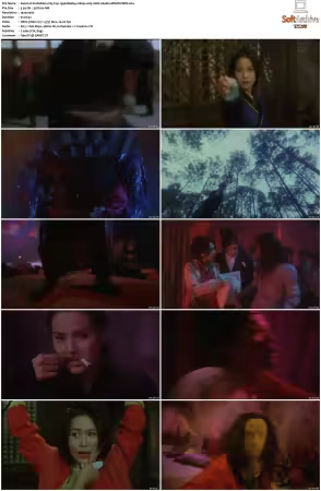 Forbidden City Cop 1996 BluRay 1080p x265 10bit 2Audio MNHD-FRDS