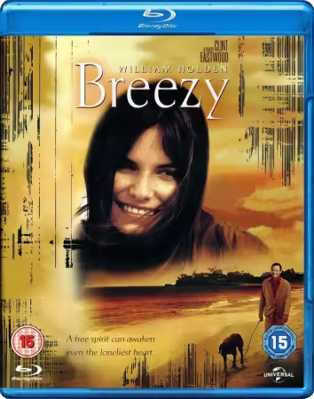 Breezy 1973 BRRip 1080p Eac3 H265-VyPeR