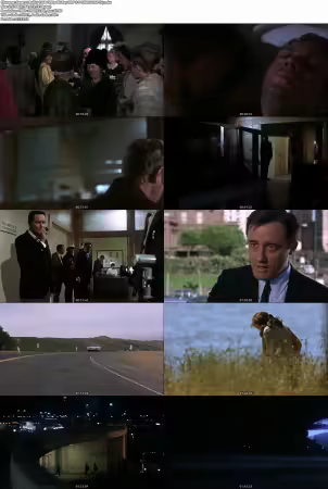 Bullitt 1968 1080p BluRay DDP 2.0 10bit H265-iVy