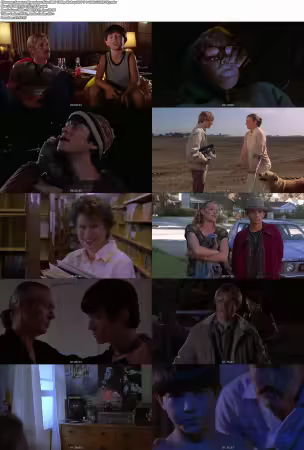 Mysterious Skin 2005 1080p BluRay DDP 5.1 10bit H265-iVy