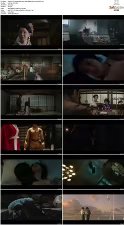 The Handmaiden 2016 1080p BRRip AAC5.1 h264-XBiTs