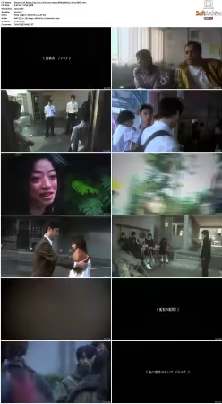 All About Lily Chou-Chou 2001 1080p BRRip AAC5 1 h264-XBiTs