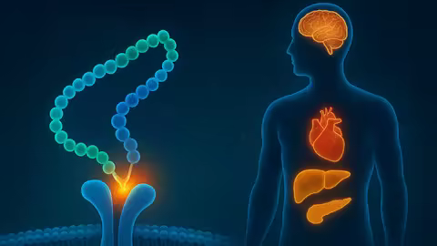Glp-1 &amp; Gip Drugs:Ozempic, Wegovy-Obesity &amp; Diabetes Therapy
