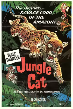 Jungle Cat 1960 1080p DSNP WEB-DL AAC 2.0 H264-BiOMA