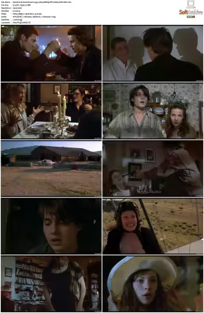 Arizona Dream 1993 1080p BDRip DTS H264-PoPCoRn