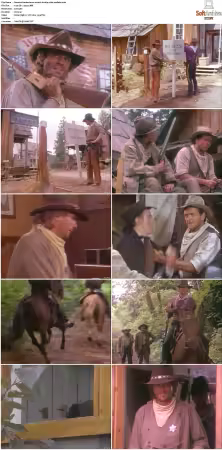 Bordertown 1989 S01-S03 DVDRip x264-NODLABS