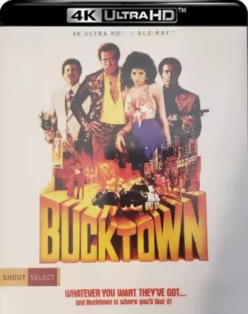 Bucktown 1975 2160p 4K BluRay x265 10bit AAC5.1-YTS