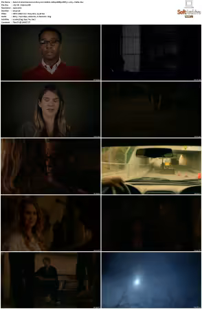 American Horror Story 2011 S01-S12 1080p BDRip WEBRip DDP5.1 x265-Vialle