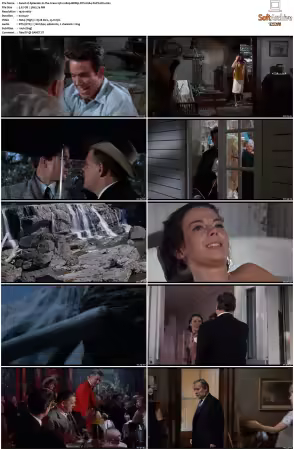 Splendor in the Grass 1961 1080p BDRip DTS H264-PoPCoRn