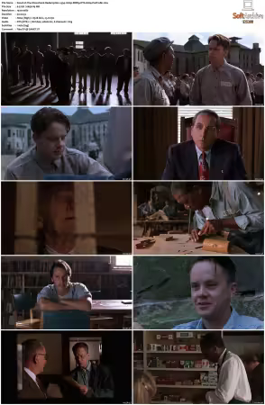 The Shawshank Redemption 1994 1080p BDRip DTS H264-PoPCoRn