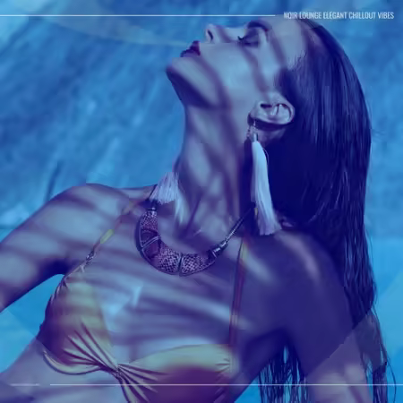 VA - Noir Lounge Elegant Chillout Vibes (2025)