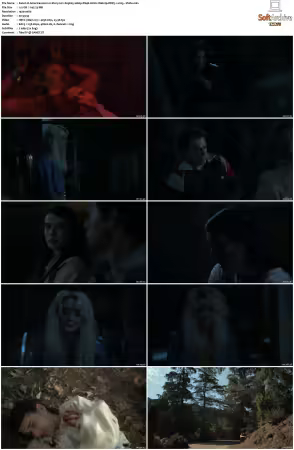 American Horror Story 2011 S01-S12 1080p BDRip WEBRip DDP5.1 x265-Vialle