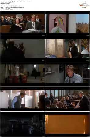 Legal Eagles 1986 1080p BDRip DTS H264-PoPCoRn