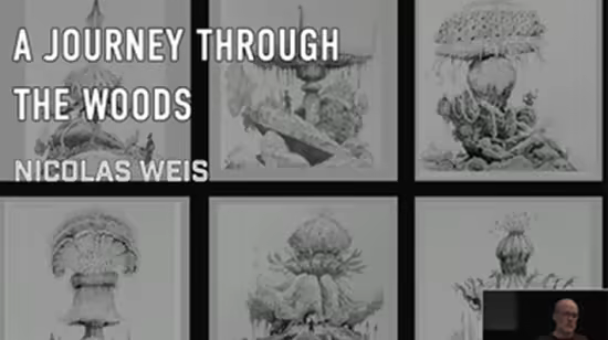 A Journey Through The Woods