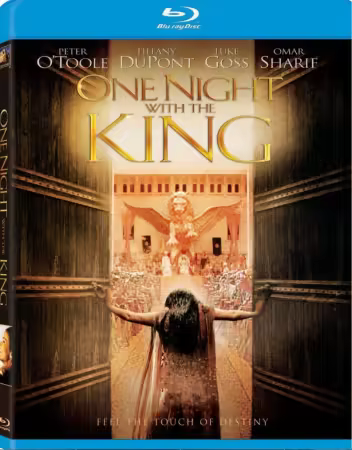 One Night with the King 2006 1080p BluRay x264-OFT