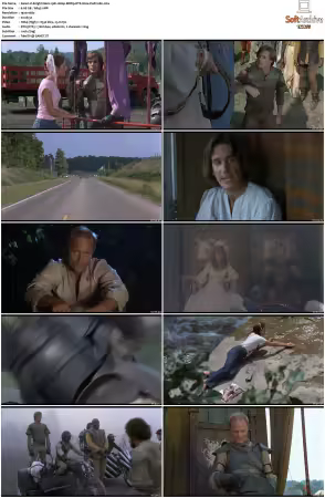 Knightriders 1981 1080p BDRip DTS H264-PoPCoRn