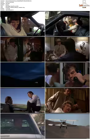 Charley Varrick 1973 1080p BDRip DTS H264-PoPCoRn