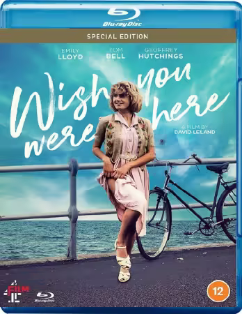 Wish You Were Here 1987 1080p BluRay HEVC x265 5.1 BONE