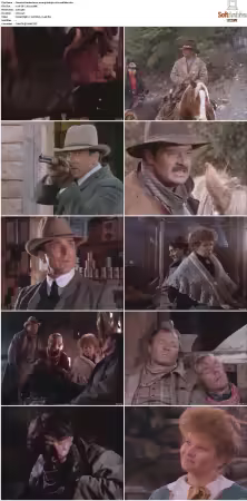 Bordertown 1989 S01-S03 DVDRip x264-NODLABS
