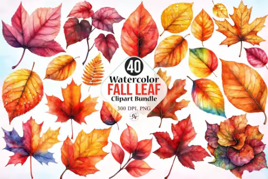40 Watercolor Fall Leaf Clipart Bundle