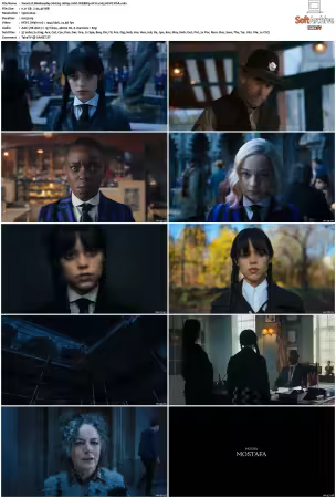 Wednesday S01 S02 1080p 10bit WEBRip 6CH x265 HEVC-PSA