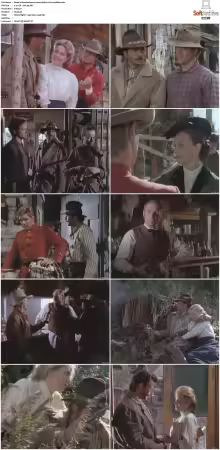 Bordertown 1989 S01-S03 DVDRip x264-NODLABS