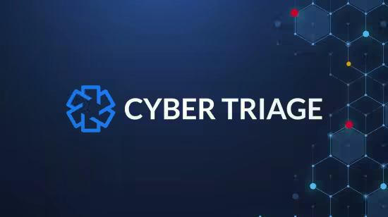 Cyber Triage Pro 3.15.0 (x64)