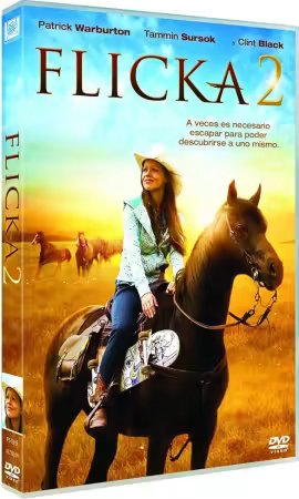 Flicka 2 2010 1080p DSNP WEB-DL DDP 5.1 H264-GPRS