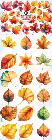 40 Watercolor Fall Leaf Clipart Bundle