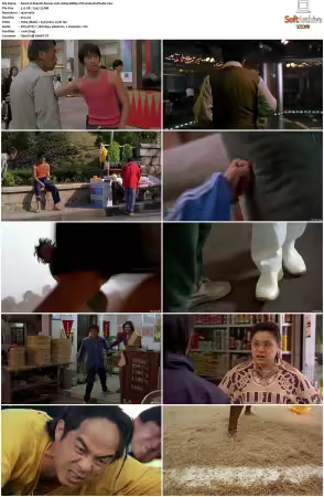 Shaolin Soccer 2001 1080p BDRip DTS H264-PoPCoRn