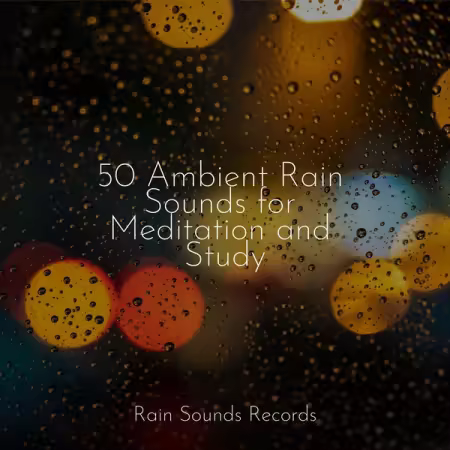 Zen Music Garden - 50 Ambient Rain Sounds for Meditation and Study (2024) (FLAC / MP3)