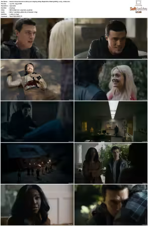 American Horror Story 2011 S01-S12 1080p BDRip WEBRip DDP5.1 x265-Vialle
