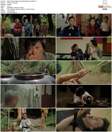 Drunken Master 1978 1080p BluRay x264-USURY