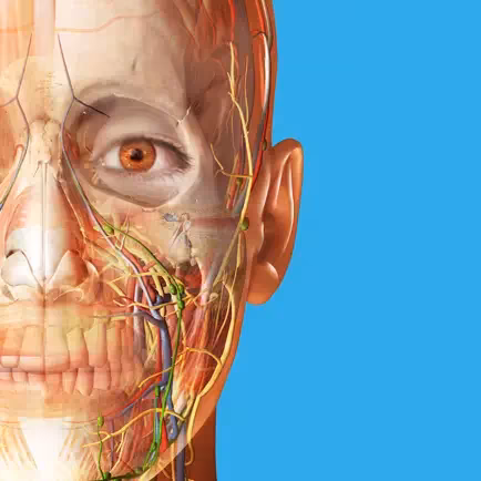 Human Anatomy Atlas 2026 v2026.0.19