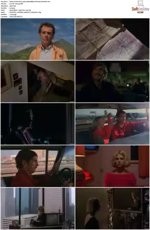 Paris Texas 1984 1080p BDRip DTS H264-PoPCoRn