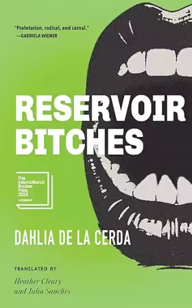 Reservoir Bitches: Stories