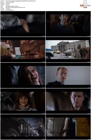 The Long Kiss Goodnight 1996 1080p BDRip DTS H264-PoPCoRn