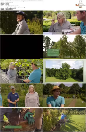 Martha Gardens S01 1080p ROKU WEB-DL AAC2.0 H264-V3RT