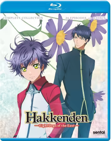 Hakkenden 2024 1080p BluRay x265 10bit DTS-WiKi