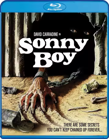 Sonny Boy 1989 1080p BluRay x264-OFT