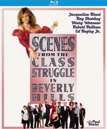 Scenes From The Class Struggle In Beverly Hills 1989 1080p BluRay X264-OFT