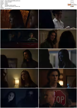 Walker S04 DVDRip x264-PFa