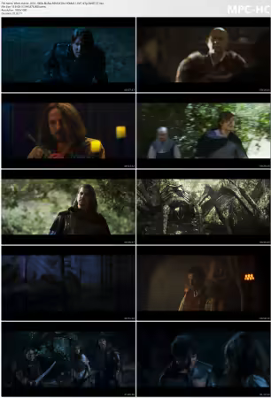 Witch Hunter 2024 1080p BluRay REMUX Dts-HDMa5.1 AVC-d3g
